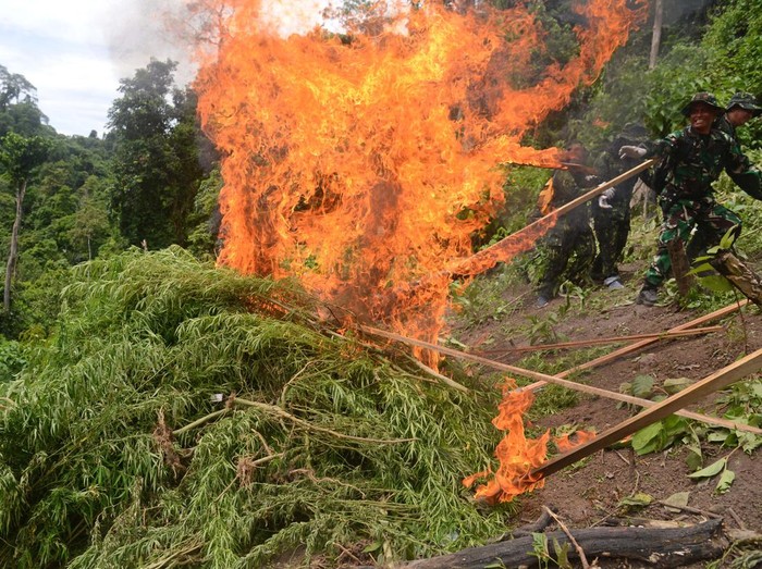 BNN Bakar 5.000