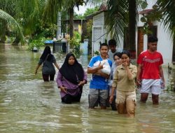 Derita Banjir 3 Pekan di Cengkareng Warga Bertahan di Air Hitam dan Bau